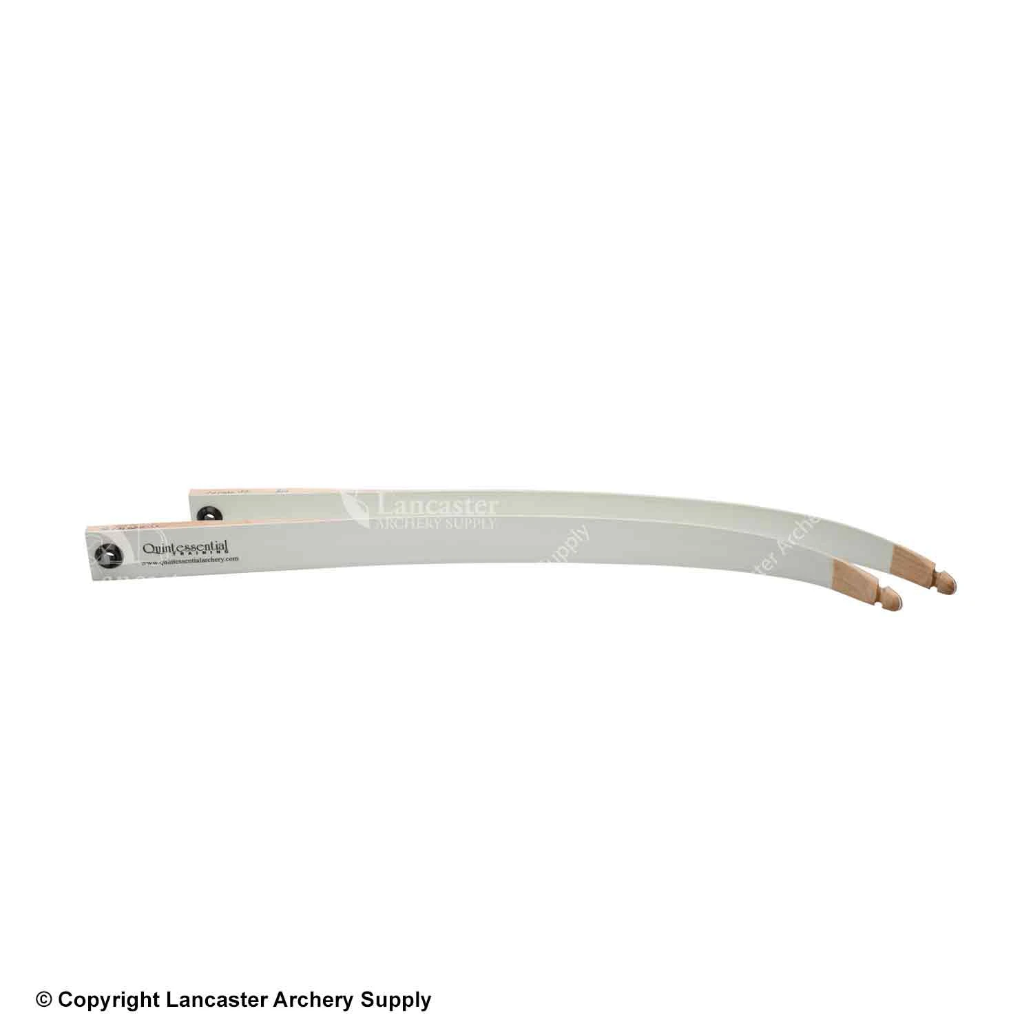 Quintessential 10# Training Limbs Fit Polaris, Prostyle, Rolan Risers 1 Quintessential 10# Training Limbs Fit Polaris, Prostyle, Rolan Risers